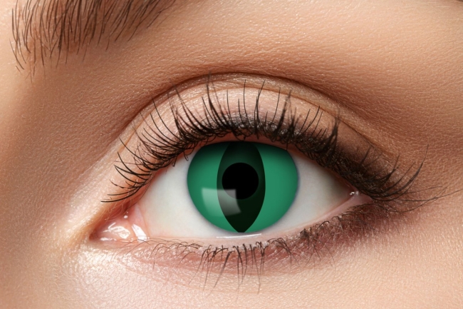 N° d'article :4250428874196. Zoelibat lentilles M08 Anaconda 3 mois