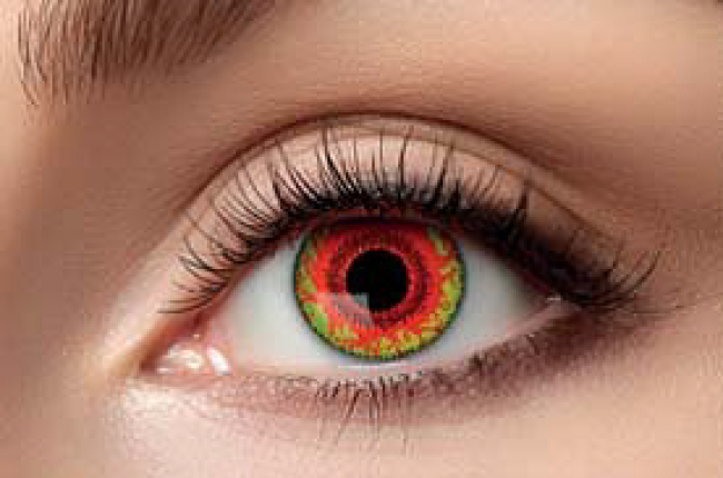 N° d'article :4251302264058. Zoelibat – w55 Red Monster (7 jours)